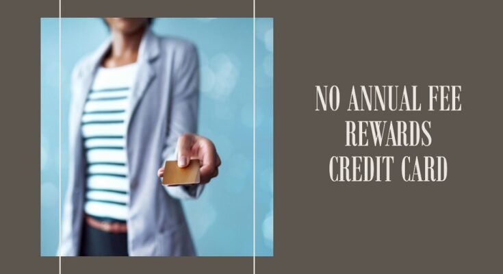 best rewards credit card no annual fee