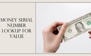 money serial number lookup for value