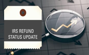 when does the irs update refund status
